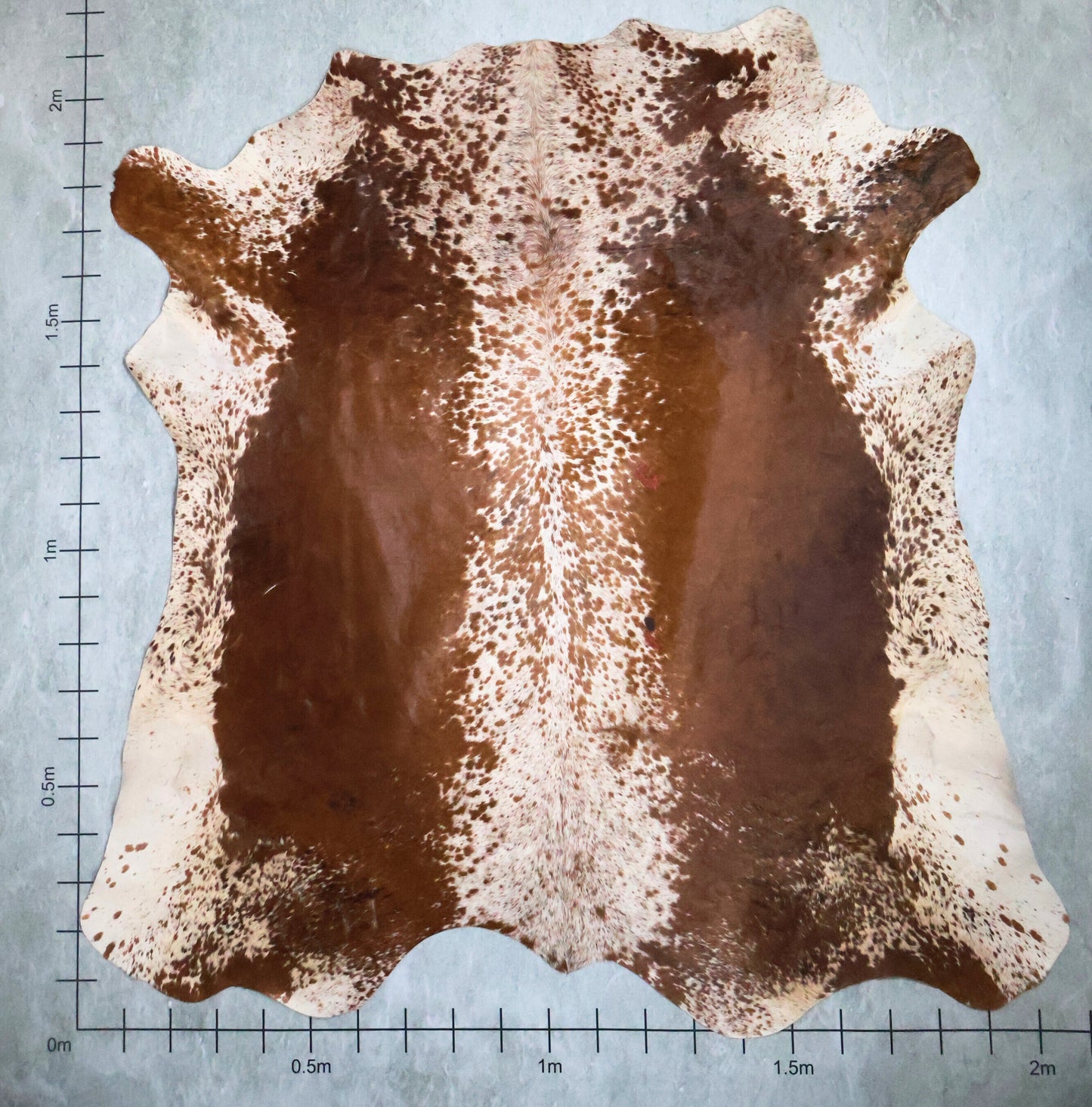 Select Nguni Hide #AGS6780