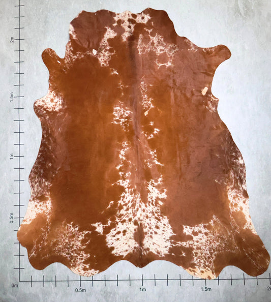 Select Nguni Hide #AGS6781