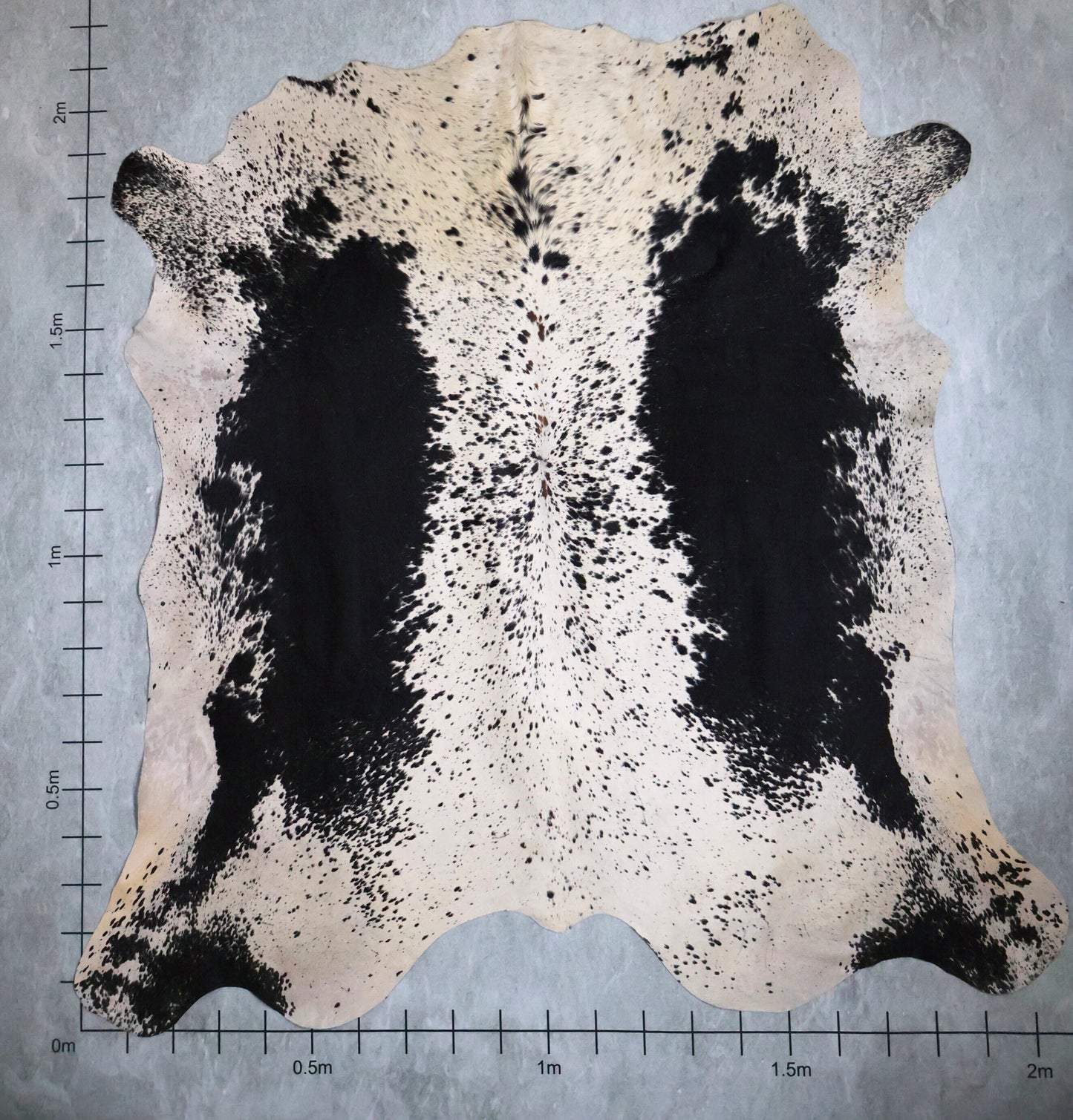 Select Nguni Hide #AGS6783