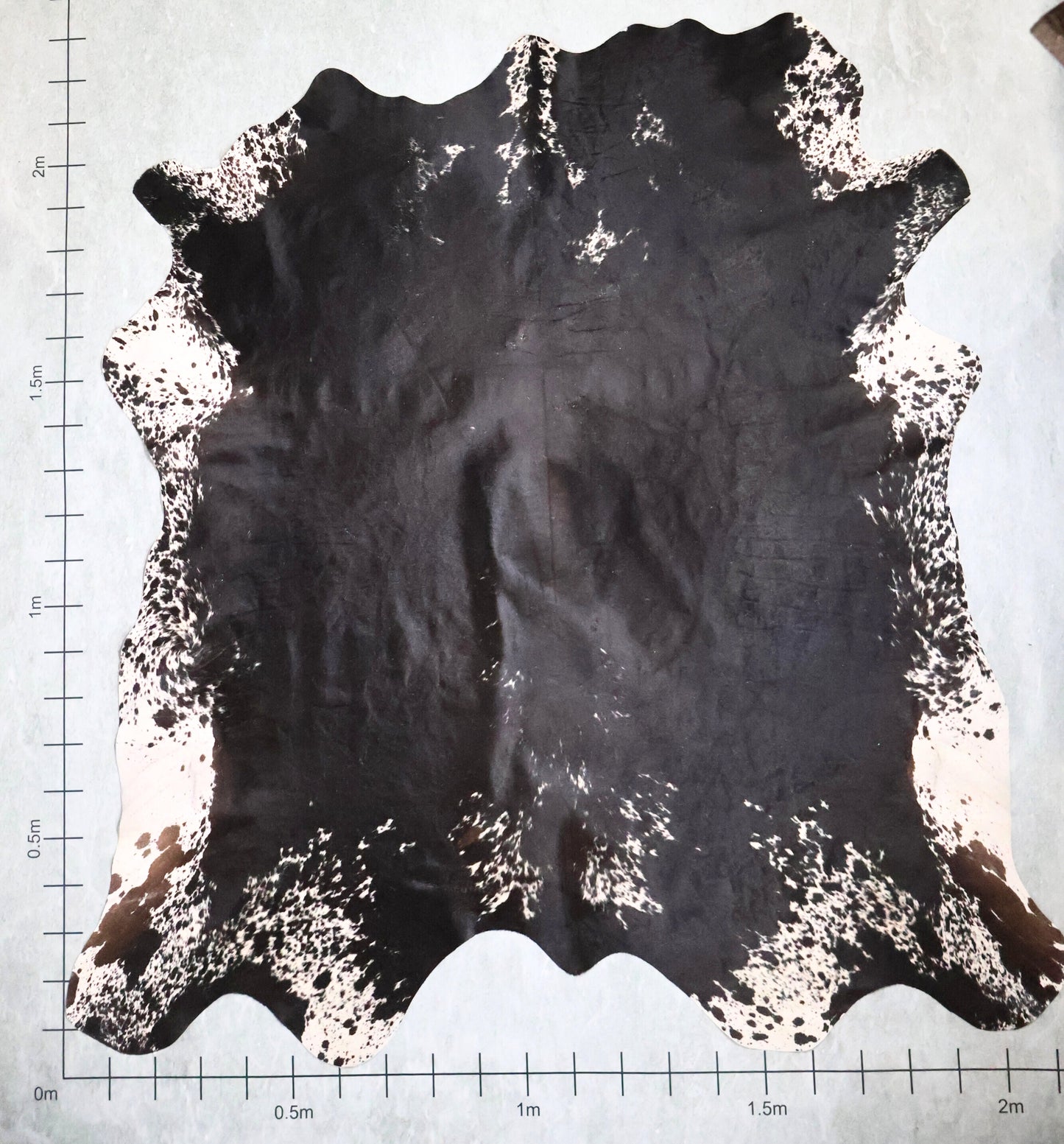 Select Nguni Hide #AGS6784