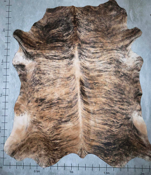 Select Nguni Hide #AGS6785