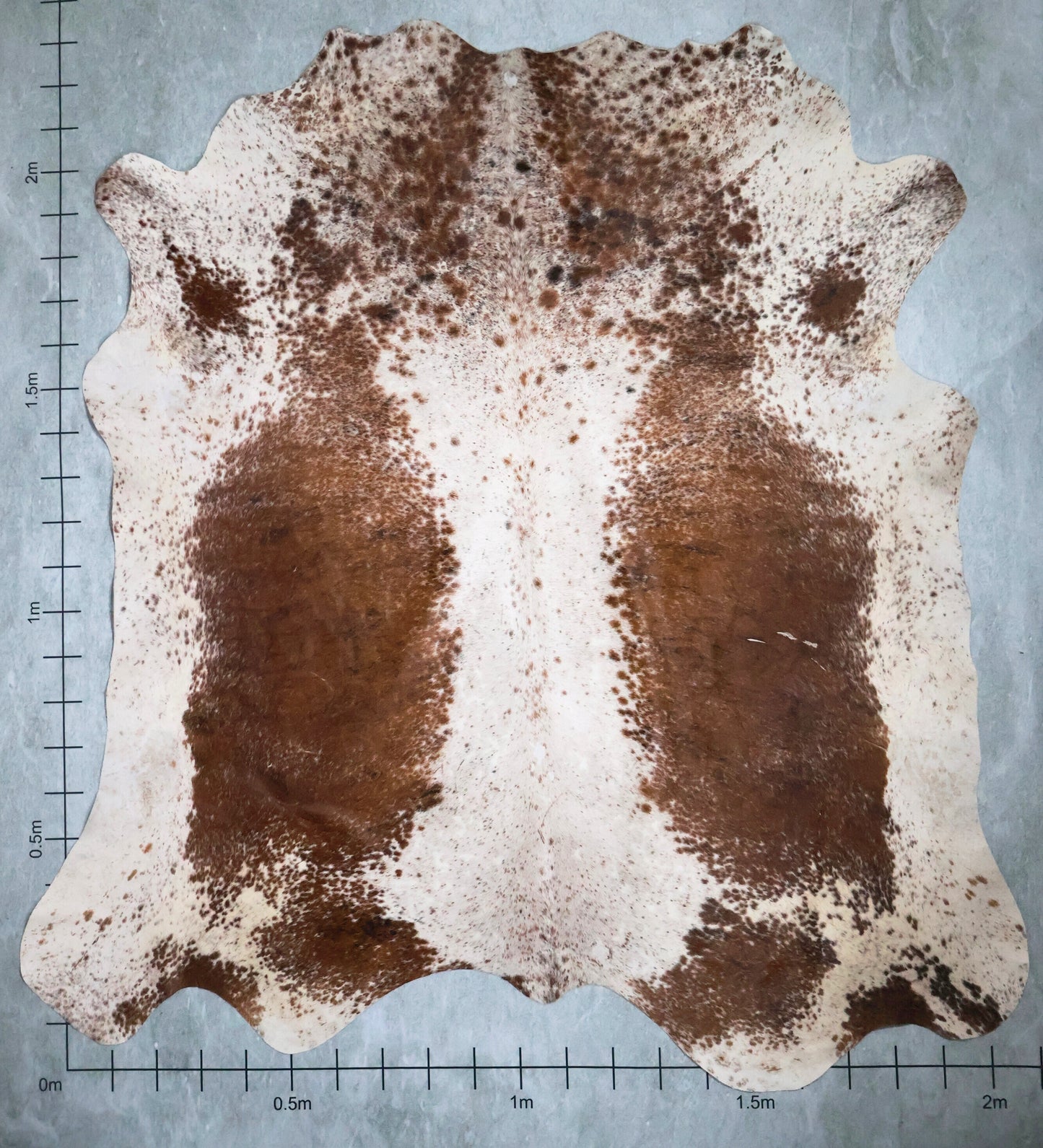 Select Nguni Hide #AGS6789