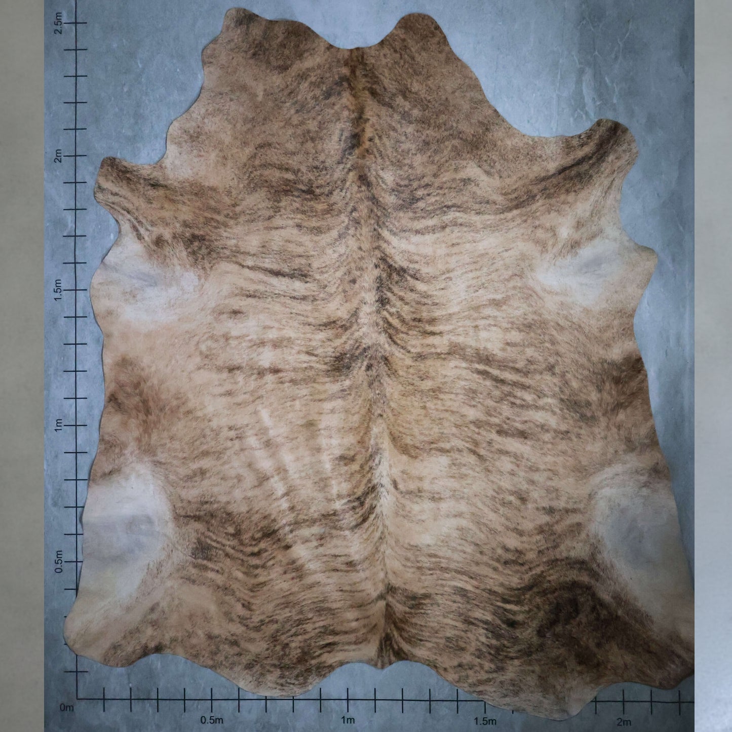 Select Nguni Hide #AGS6798