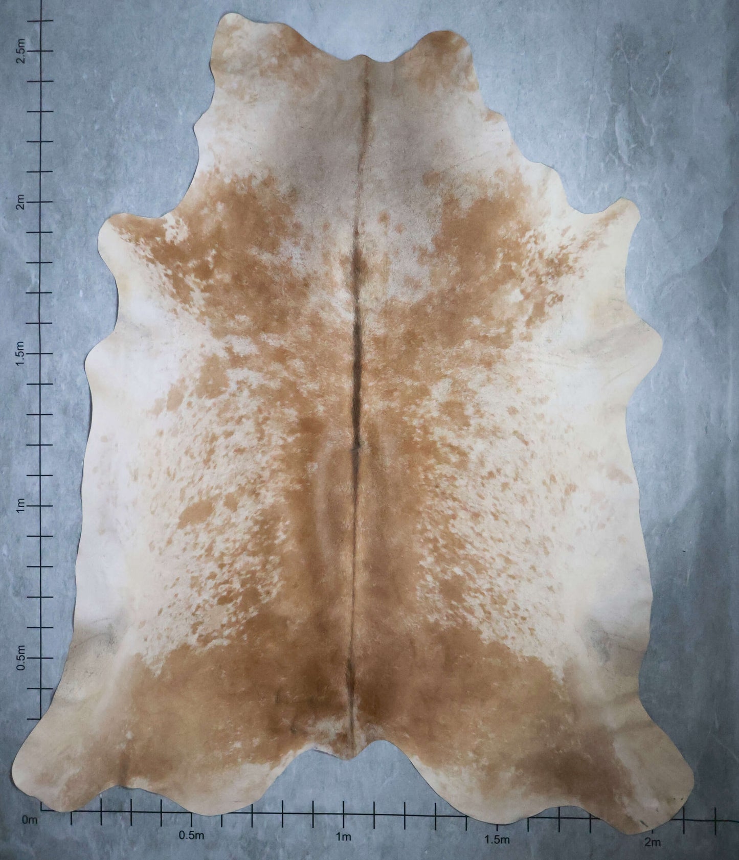 Select Nguni Hide #AGS6799