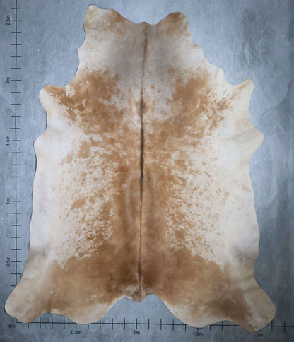 Select Nguni Hide #AGS6799