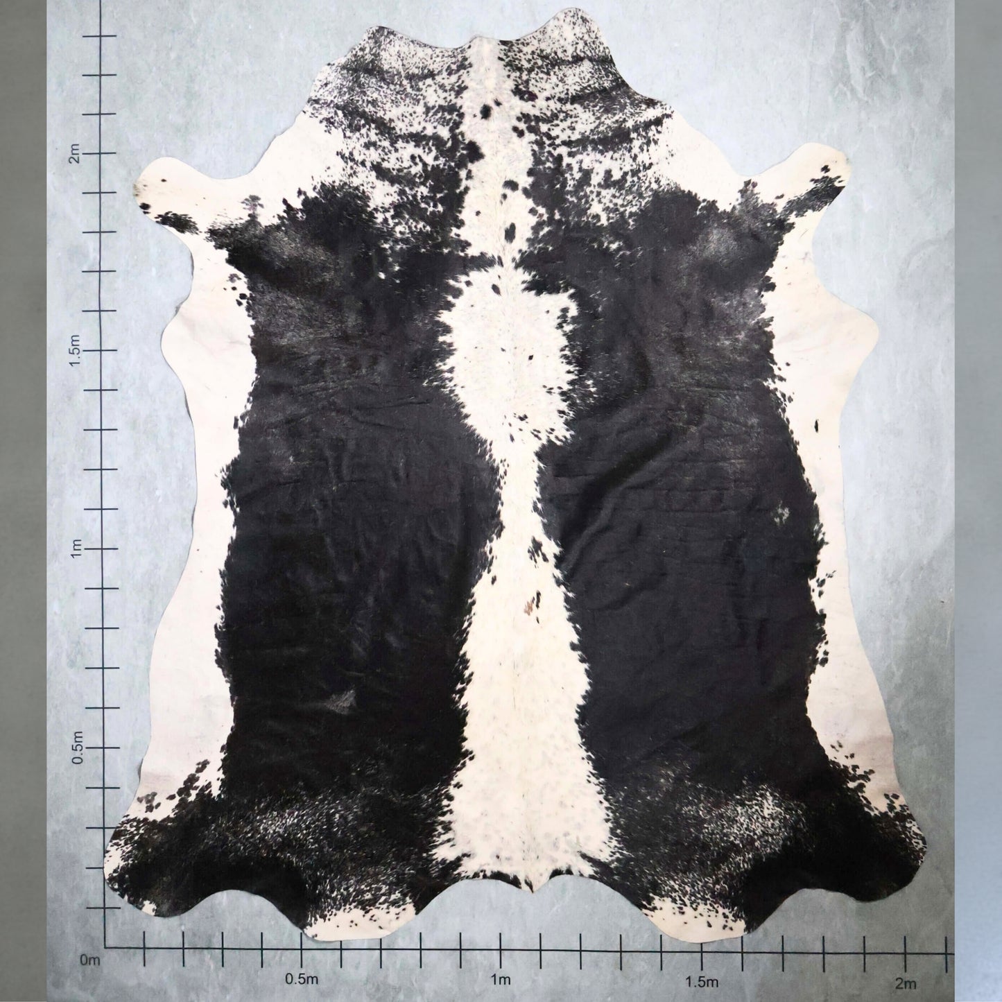 Select Nguni Hide #AGS6800