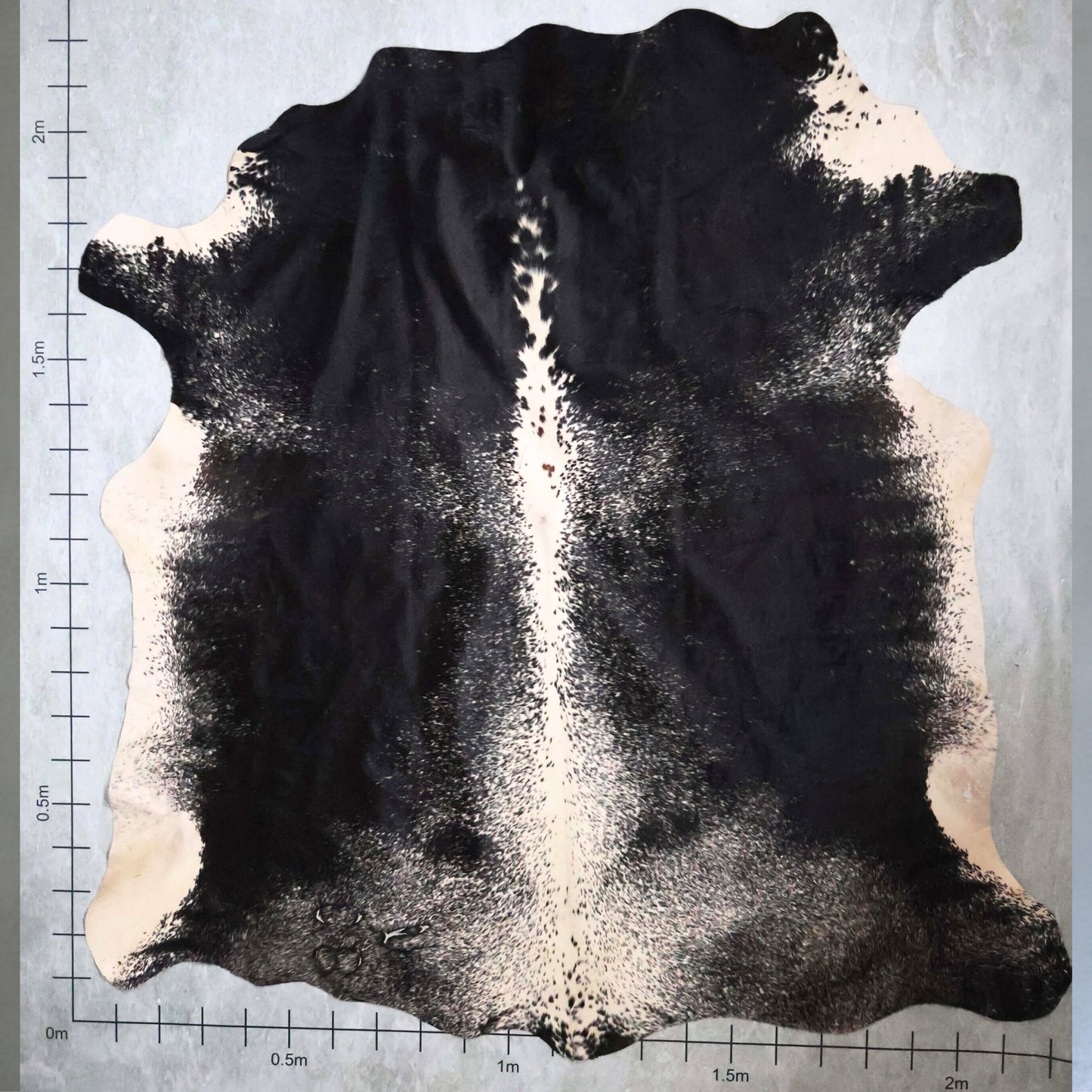 Select Nguni Hide #AGS6812