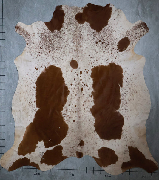 Select Nguni Hide #AGS6814