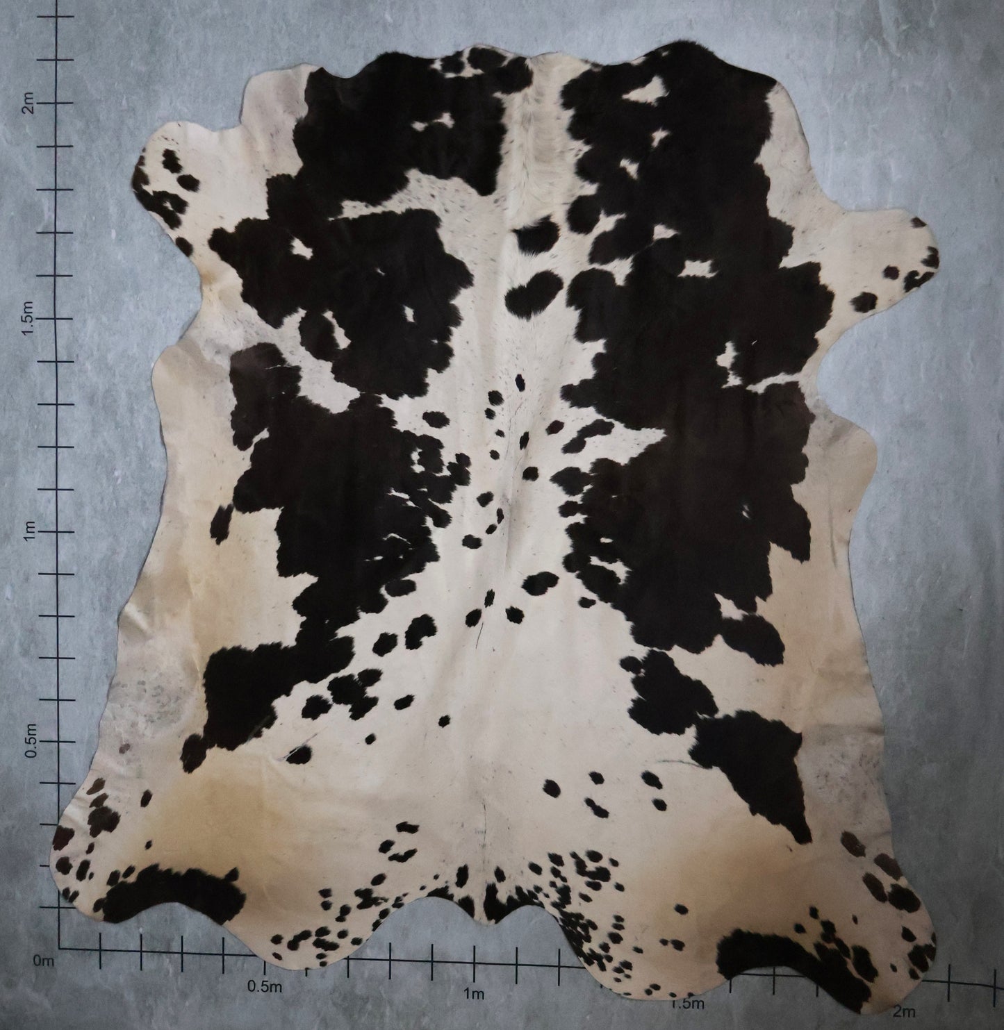 Select Nguni Hide #AGS6817