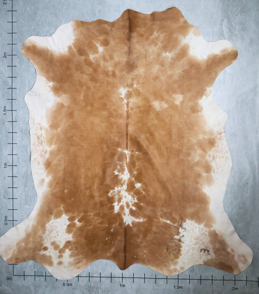Select Nguni Hide #AGS6819