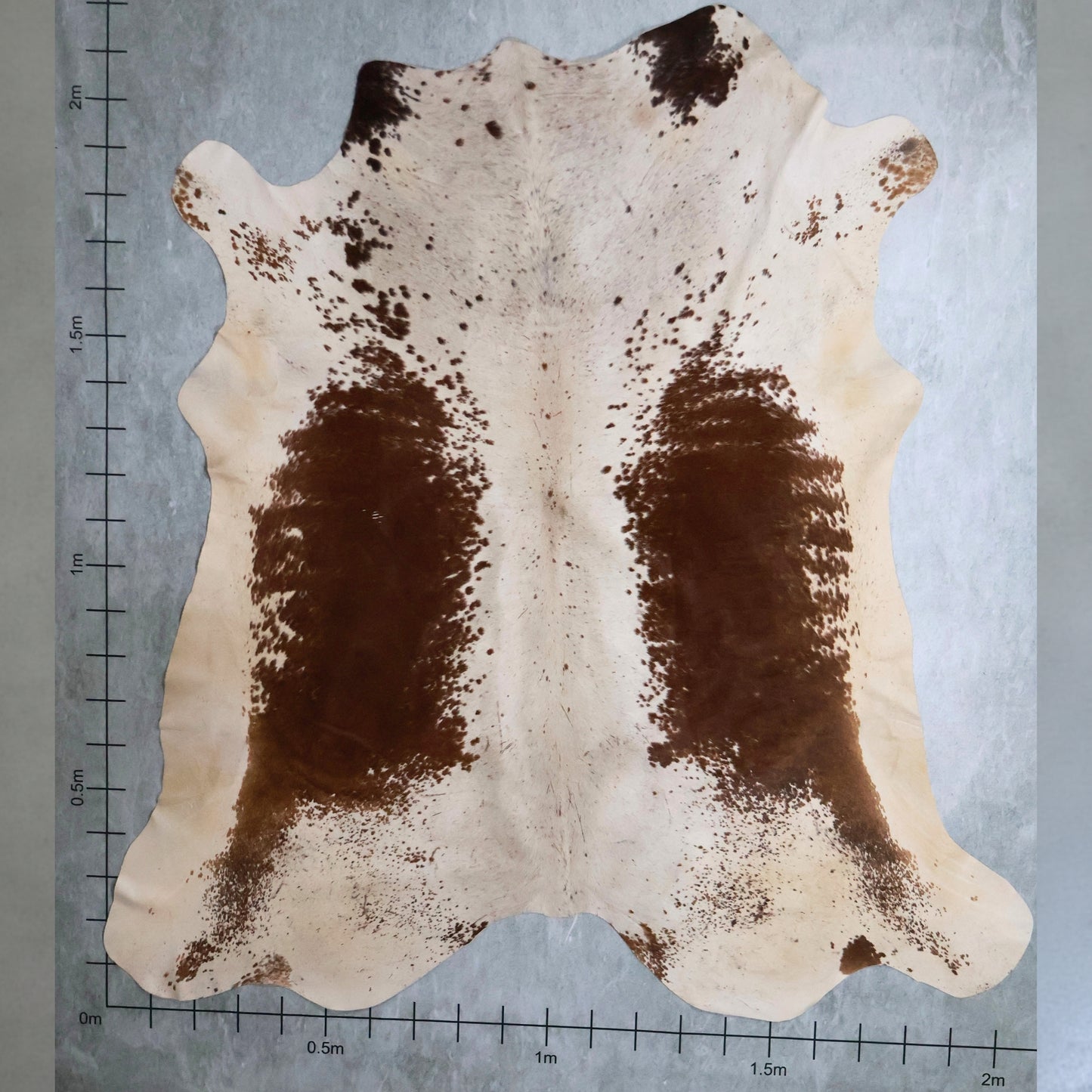 Select Nguni Hide #AGS6838