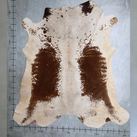 Select Nguni Hide #AGS6838