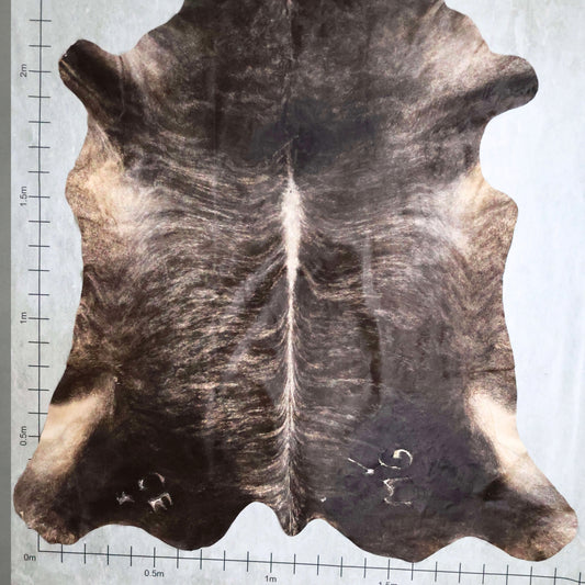 Select Nguni Hide #AGS6845