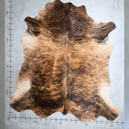 Select Nguni Hide #AGS6852
