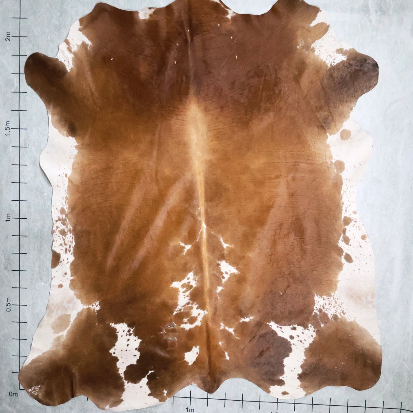 Select Nguni Hide #AGS6862