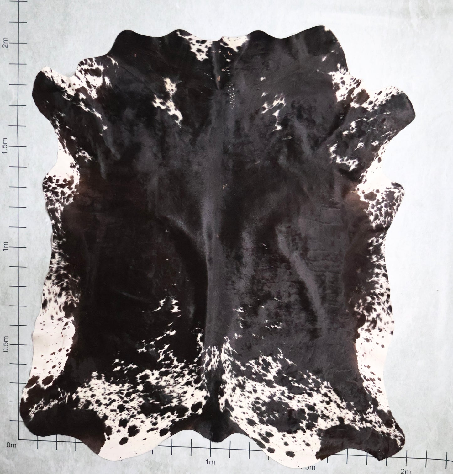 Select Nguni Hide #AGS6865