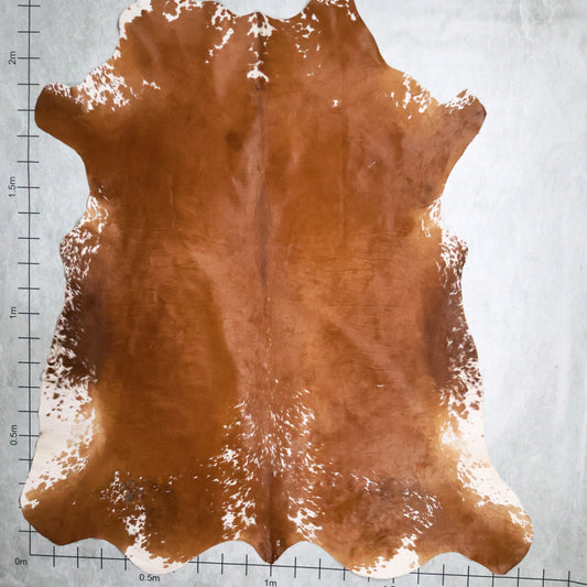 Select Nguni Hide #AGS6866