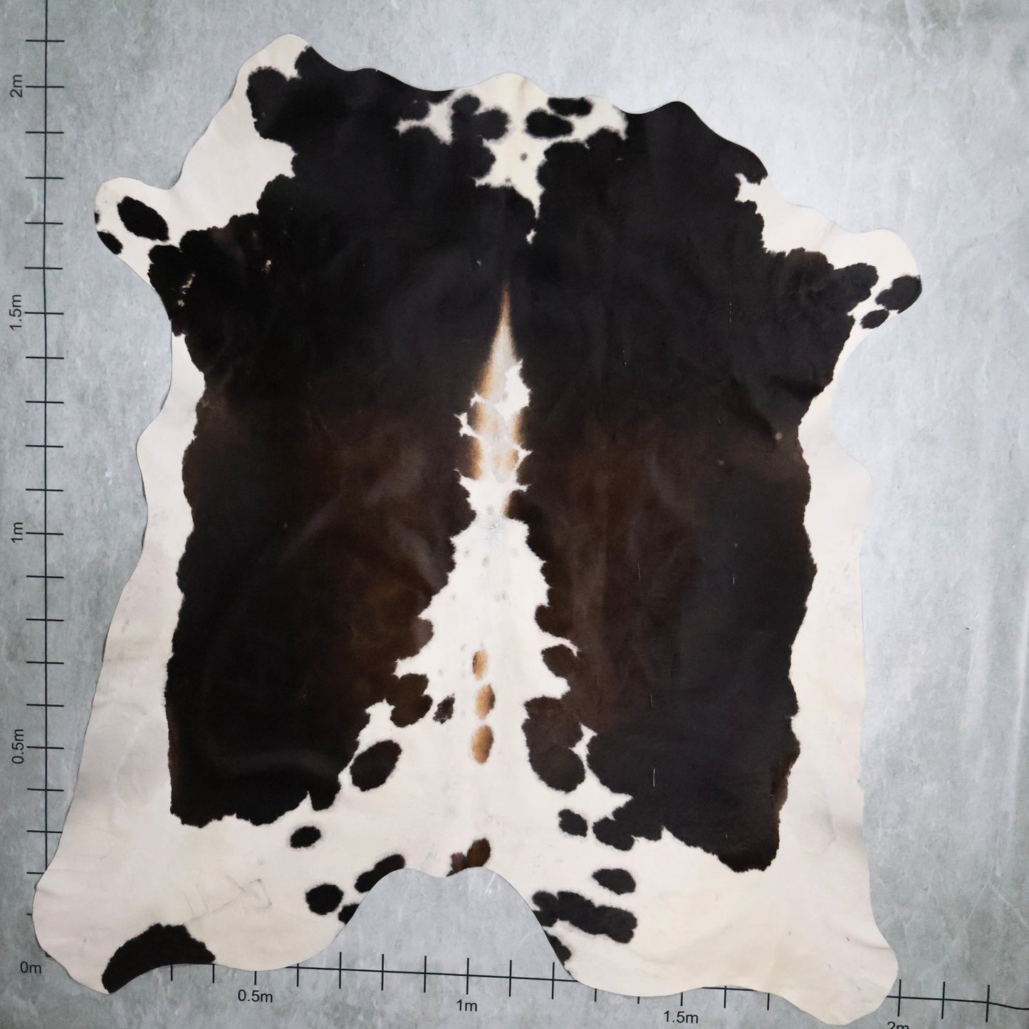 Select Nguni Hide #AGS6868