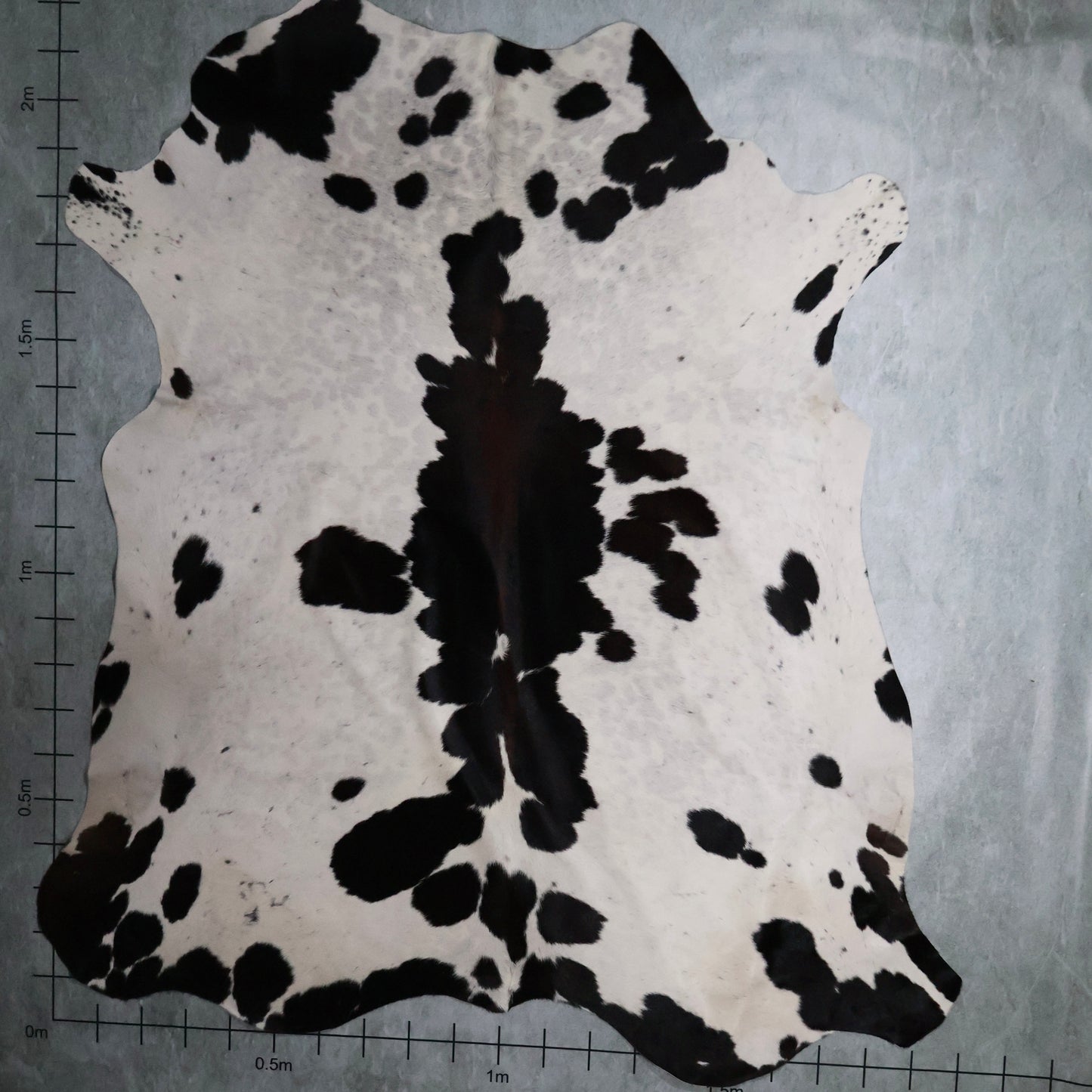 Select Nguni Hide #AGS6869