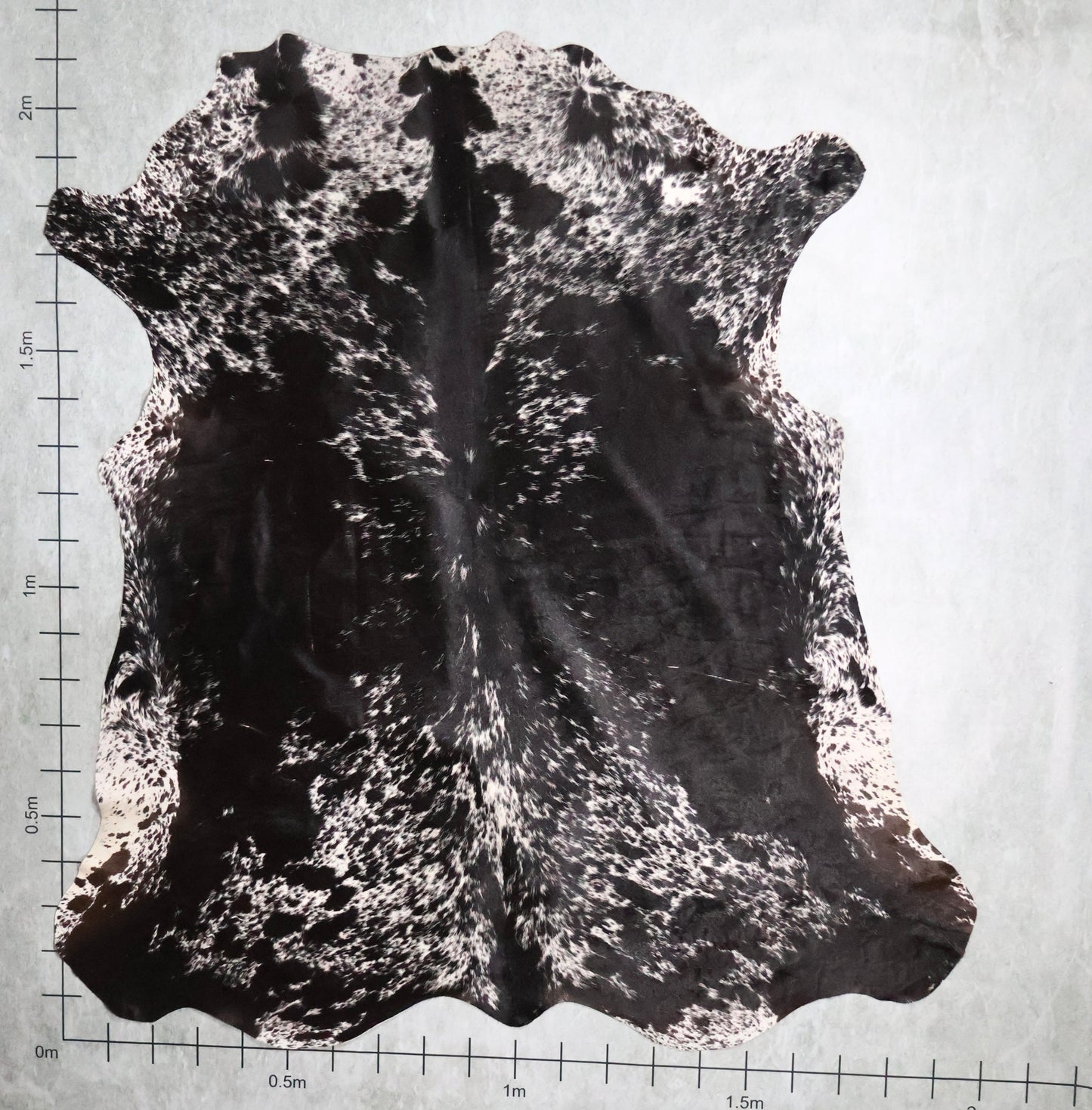 Select Nguni Hide #AGS6870