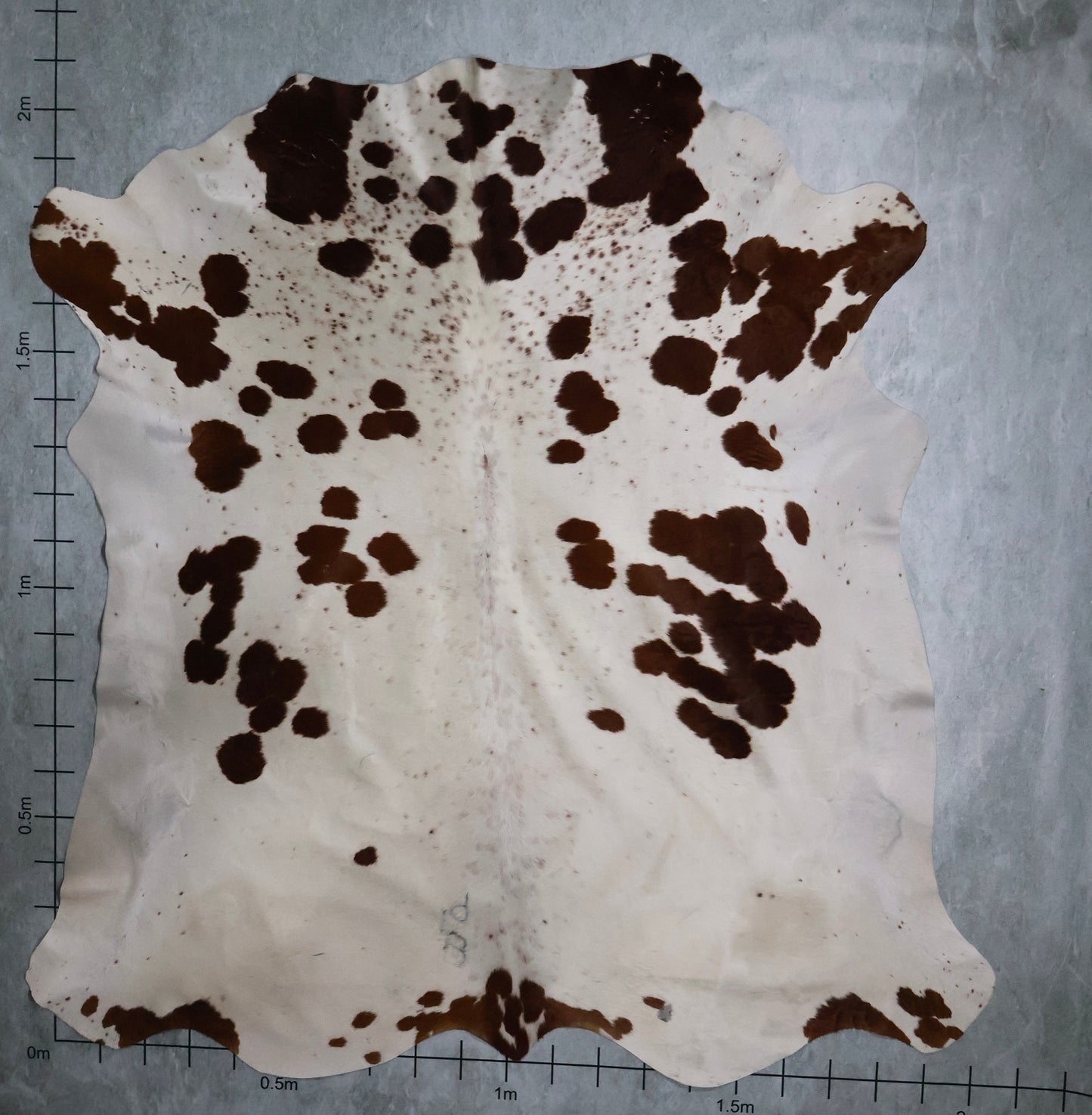 Select Nguni Hide #AGS6873