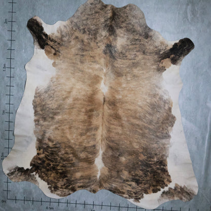 Select Nguni Hide #AGS6889