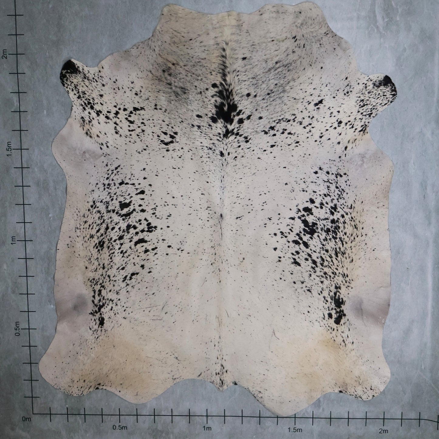 Select Nguni Hide #AGS6925 (2.0m X 2.2m)