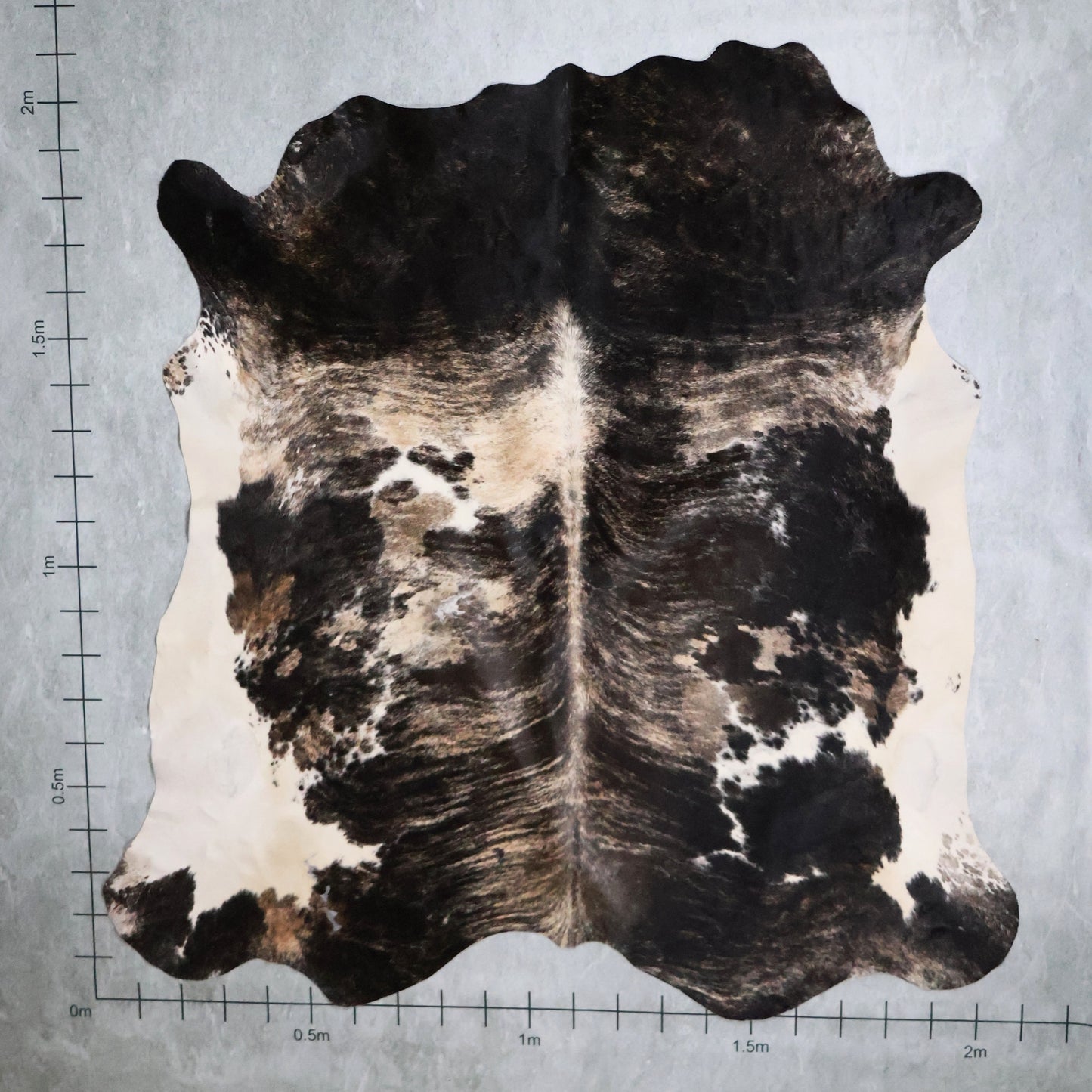 Select Nguni Hide #AGS6926 (2.0m X 2.1m)