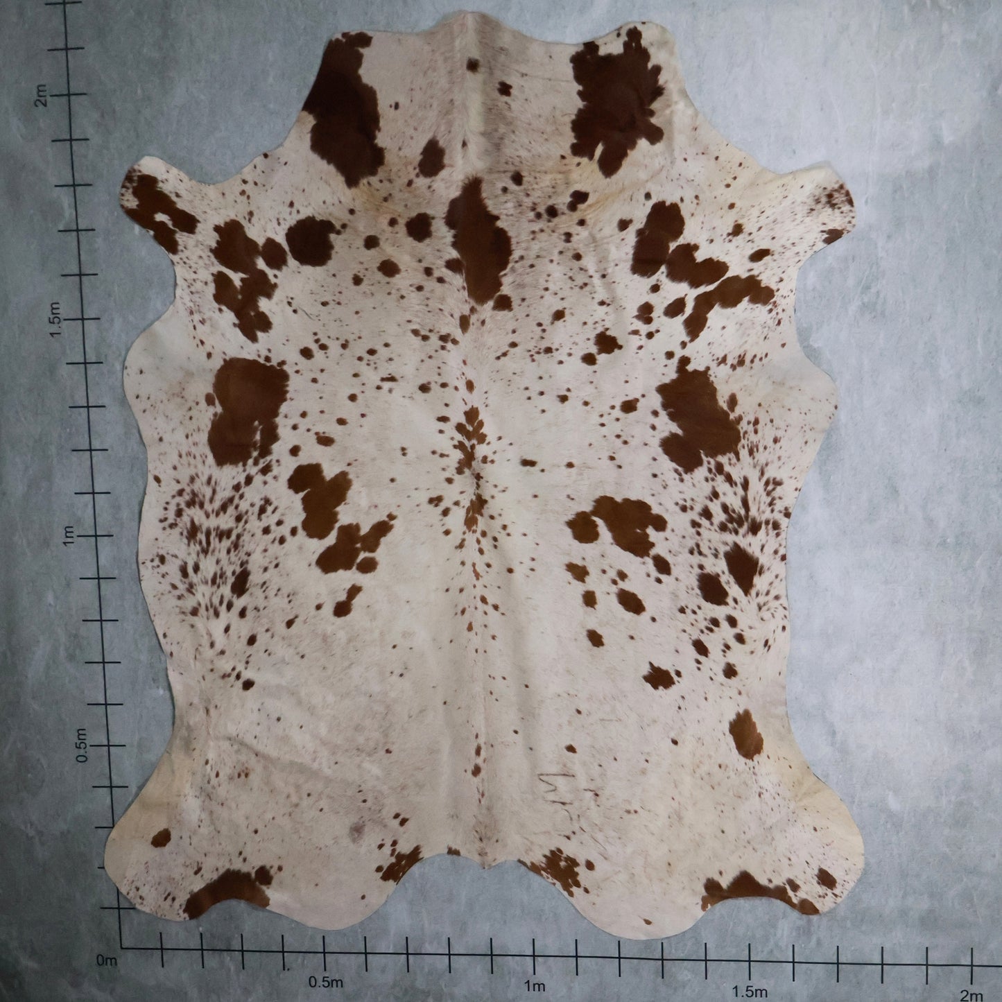 Select Nguni Hide #AGS6968