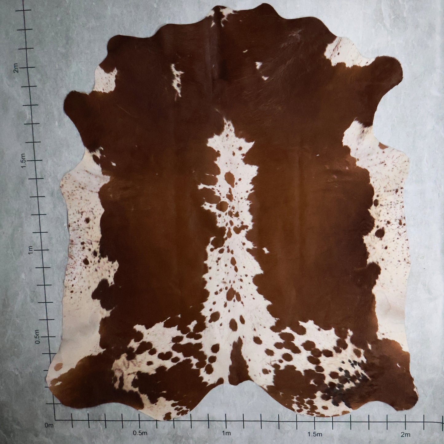 Select Nguni Hide #AGS6979