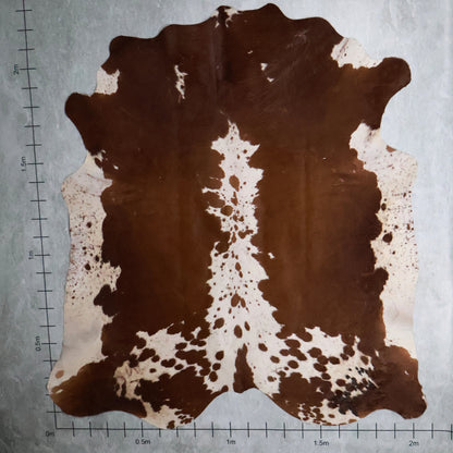 Select Nguni Hide #AGS6979