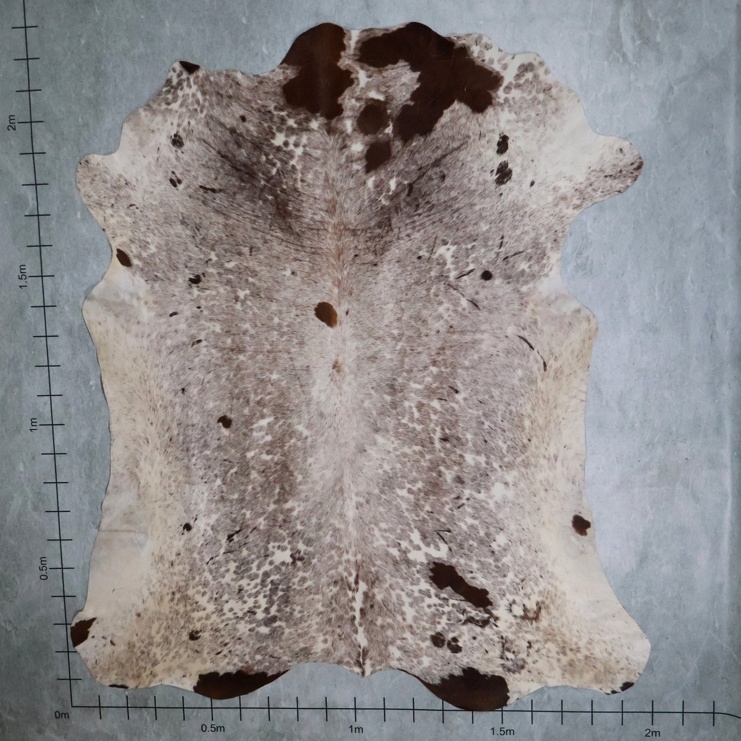 Select Nguni Hide #AGS7000