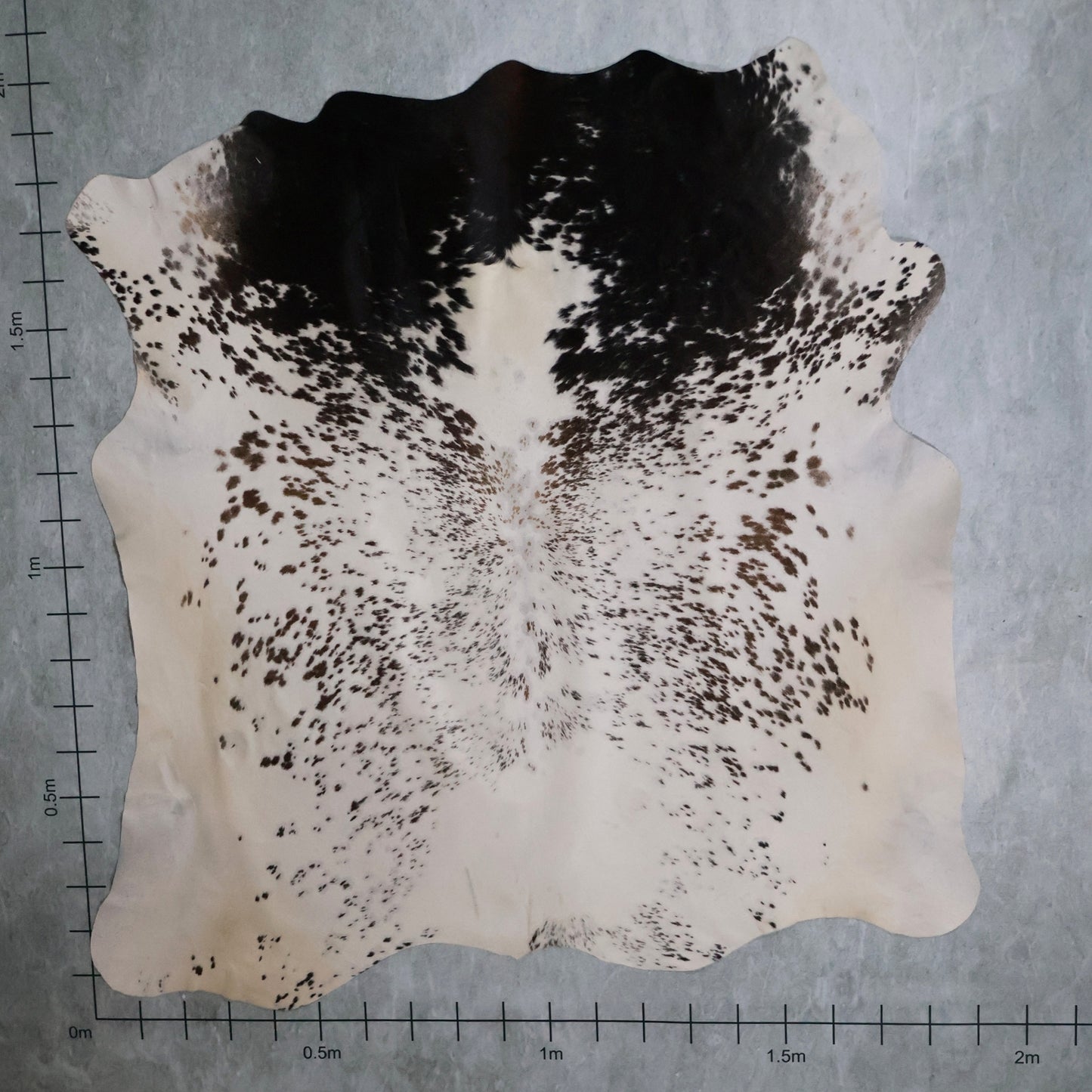 Select Nguni Hide #AGS7008