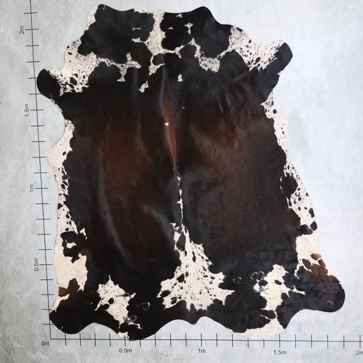 Select Nguni Hide #AGS7043