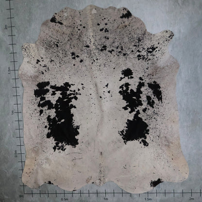 Select Nguni Hide #AGS7049