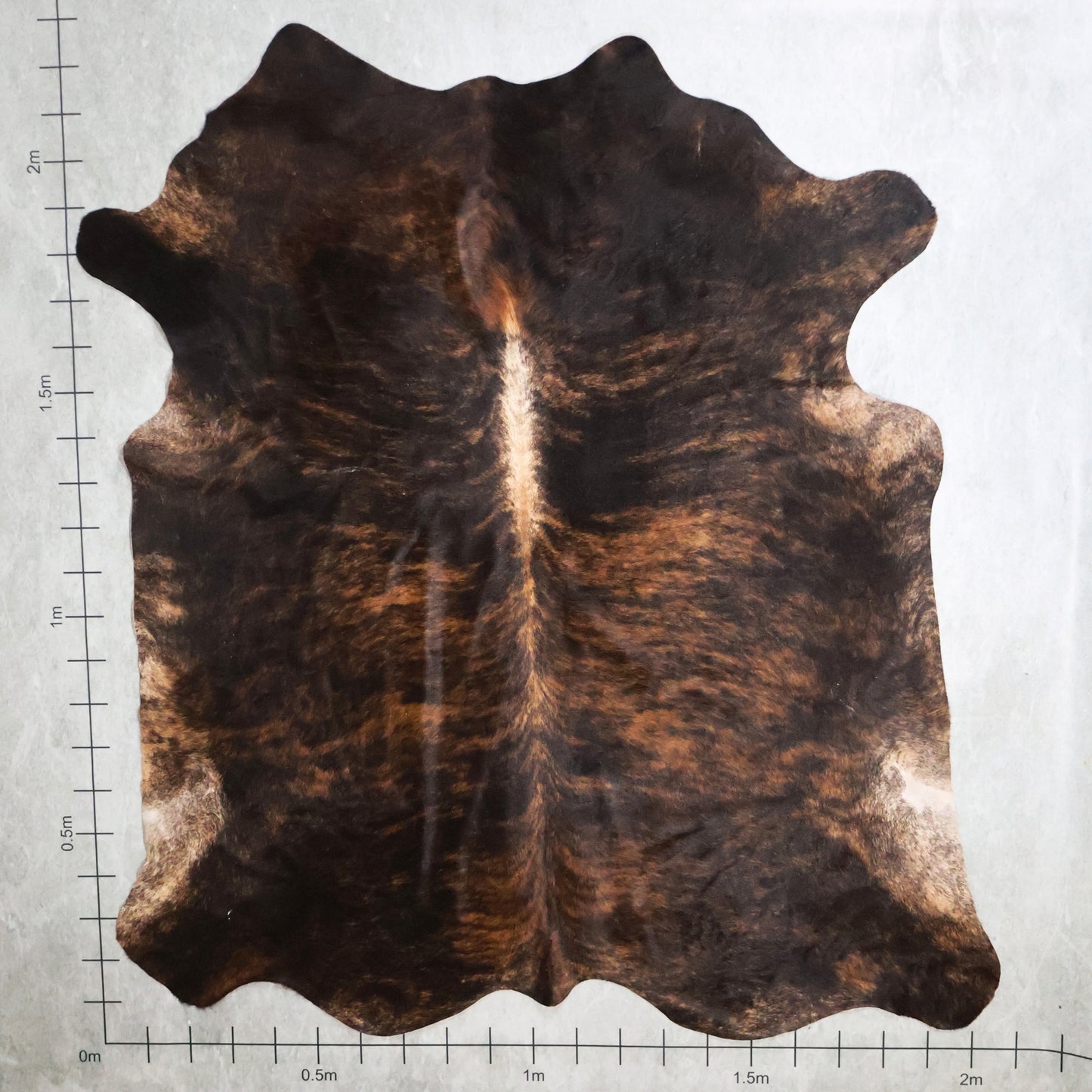 Select Nguni Hide Brindle #AGS7064