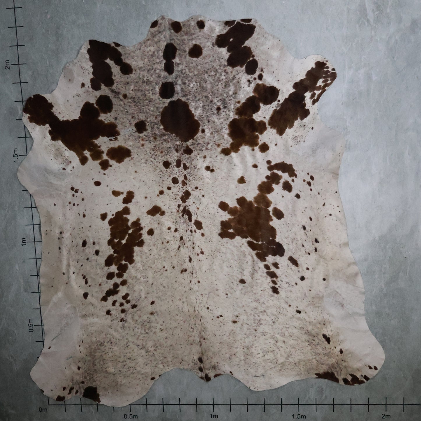 Select Nguni Hide Tri-Colour #AGS7094