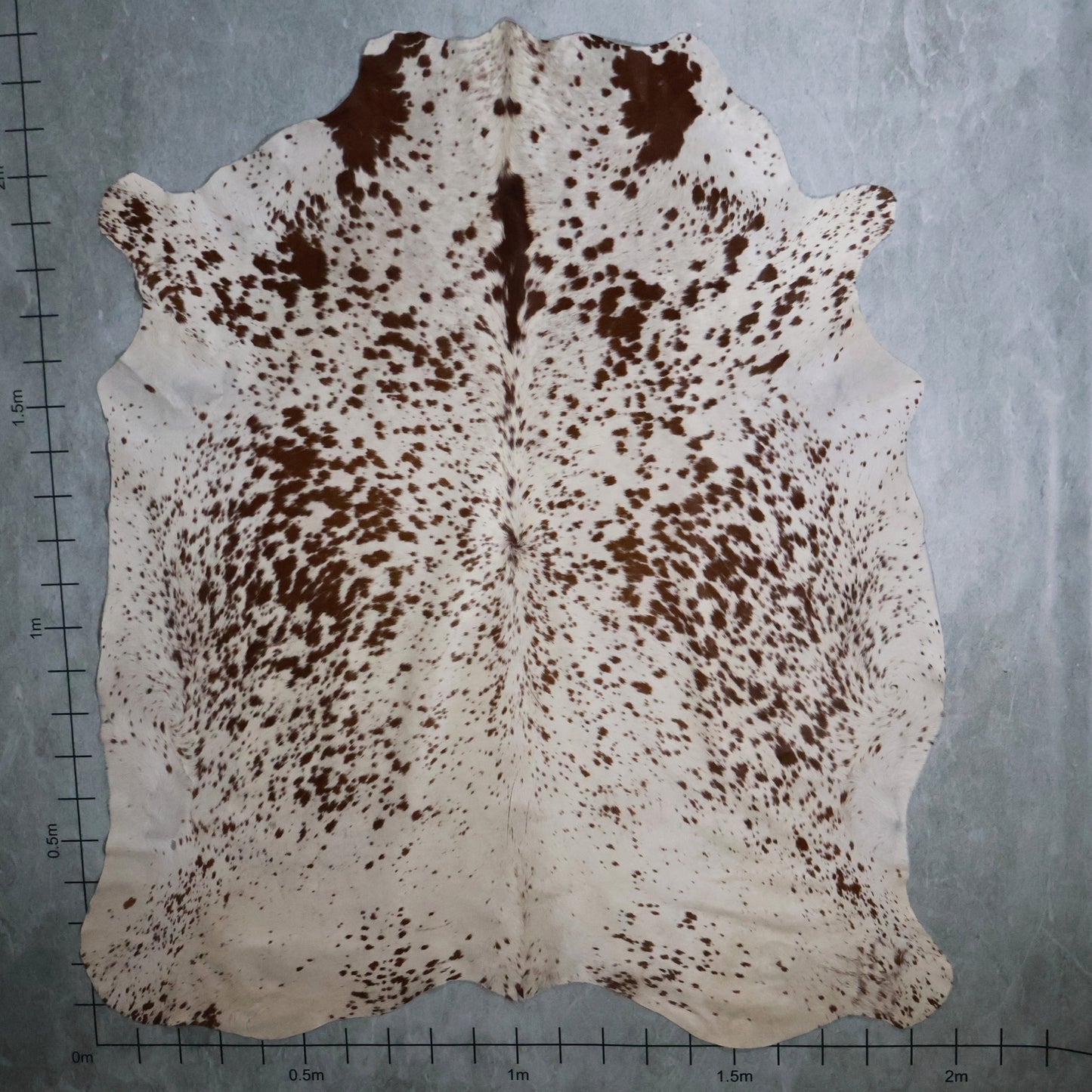 Select Nguni Hide #AGS7102