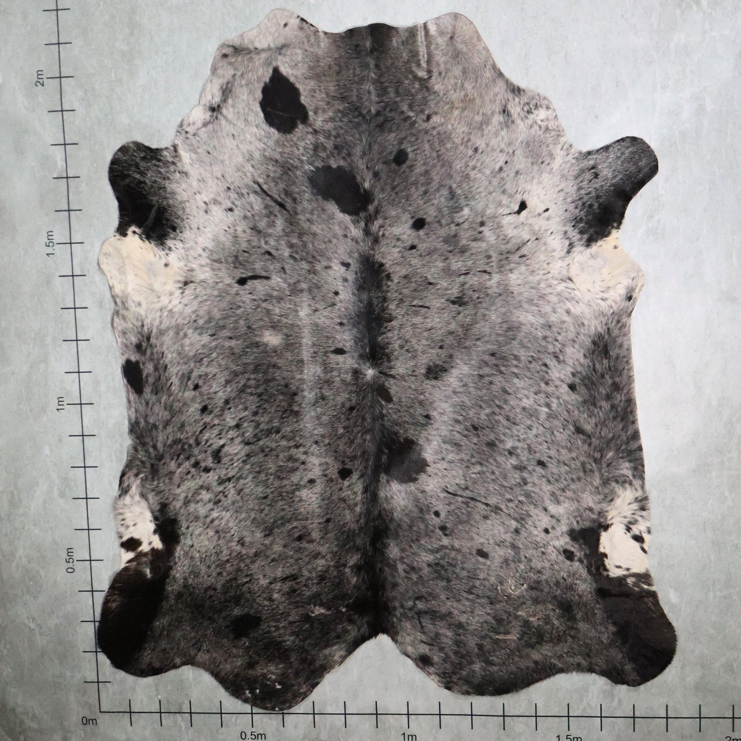 Select Nguni Hide #AGS7170 (1.8m X 2.1m)