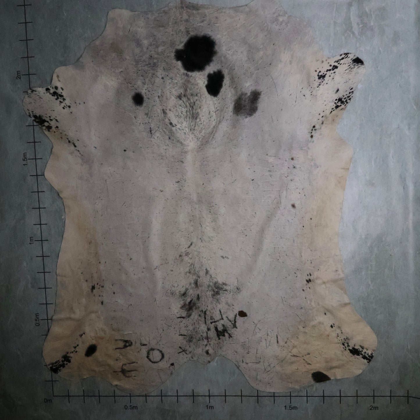Select Nguni Hide #AGS7188 (2.0m X 2.4m)