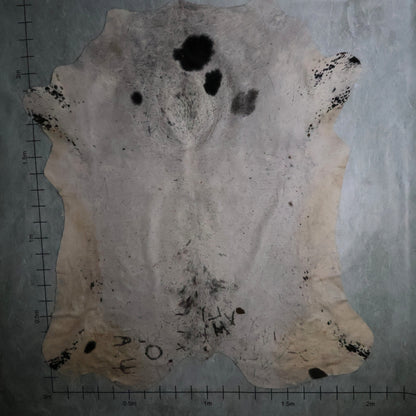 Select Nguni Hide #AGS7188 (2.0m X 2.4m)