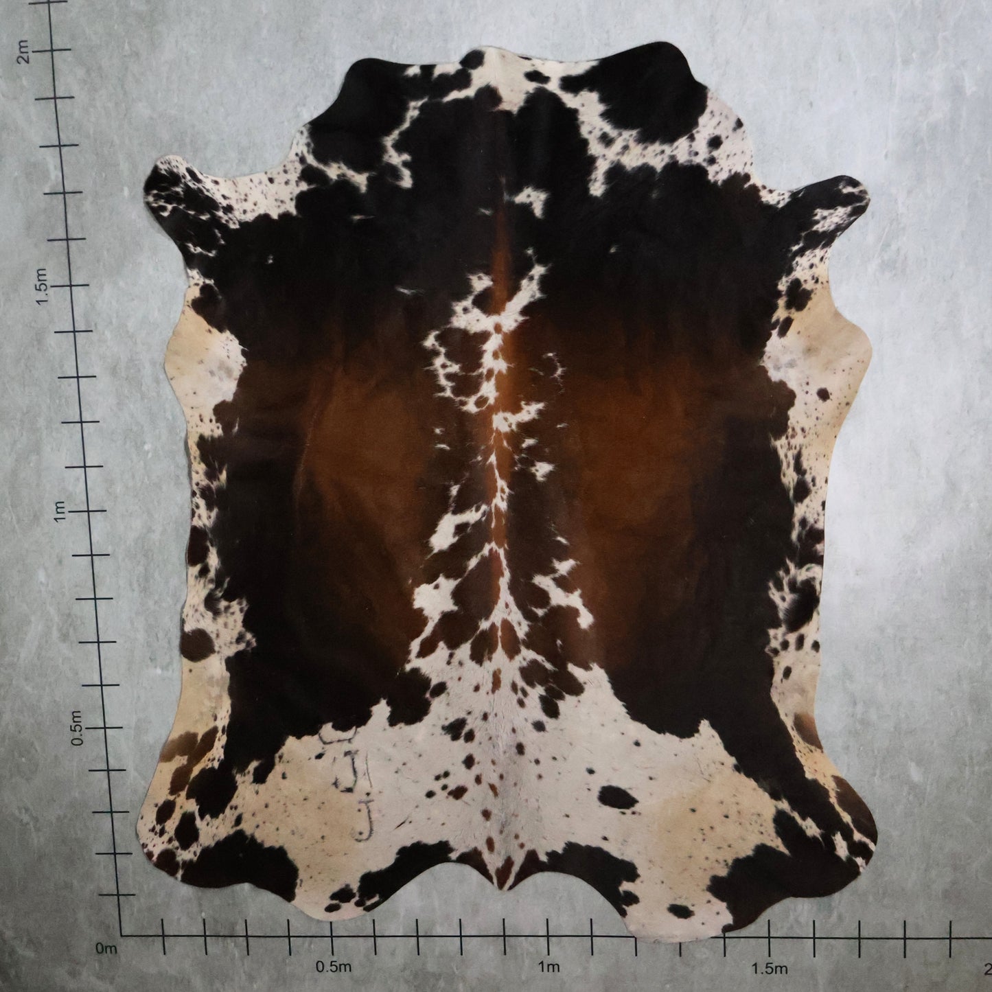 Select Nguni Hide #AGS7208 (1.7m X 2.0m)