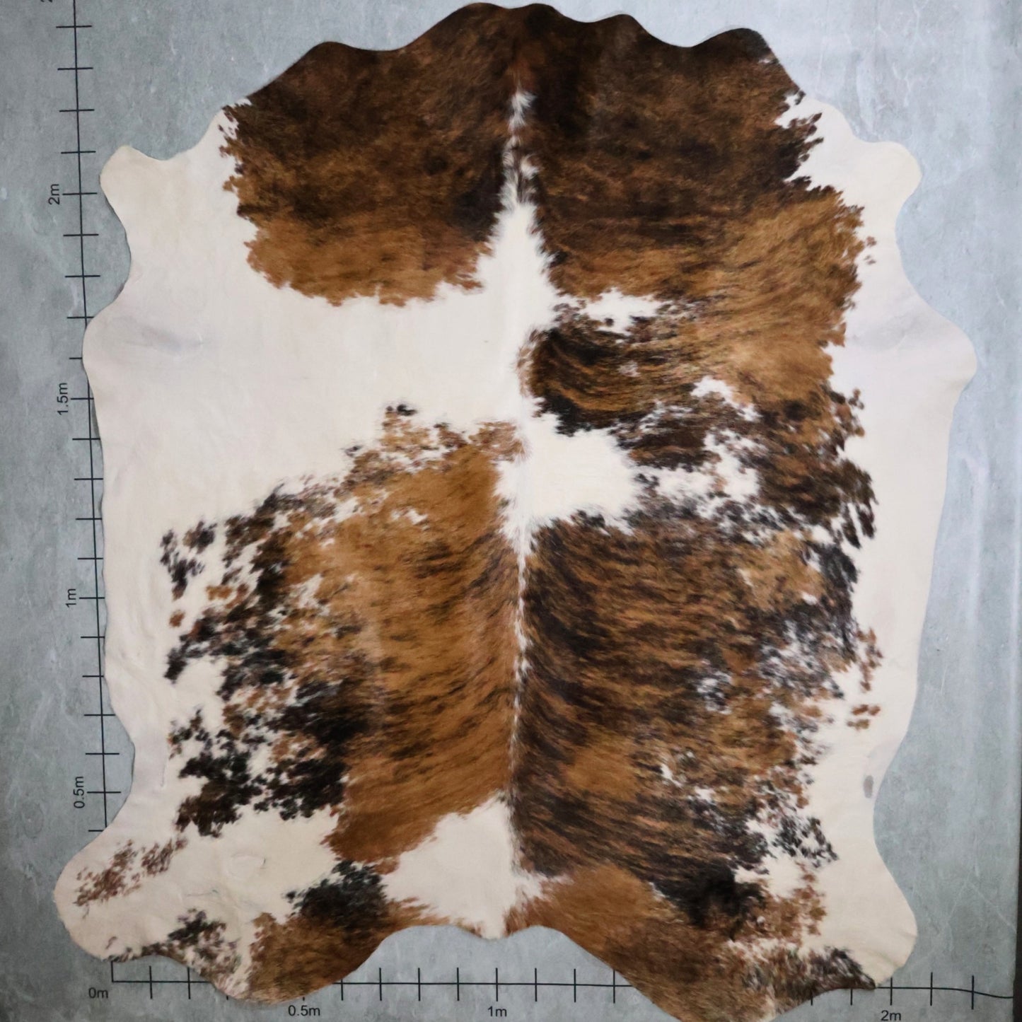 Select Nguni Hide Brindle #AGS7211 (2.0m X 2.4m)