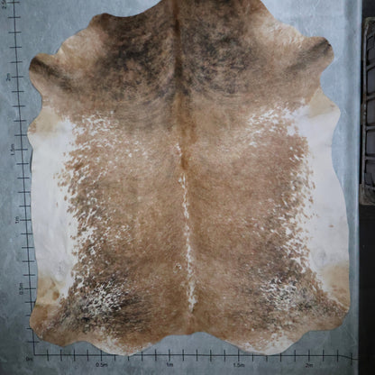 Select Nguni Hide Brindle #AGS7224 (2.3m X 2.5m)