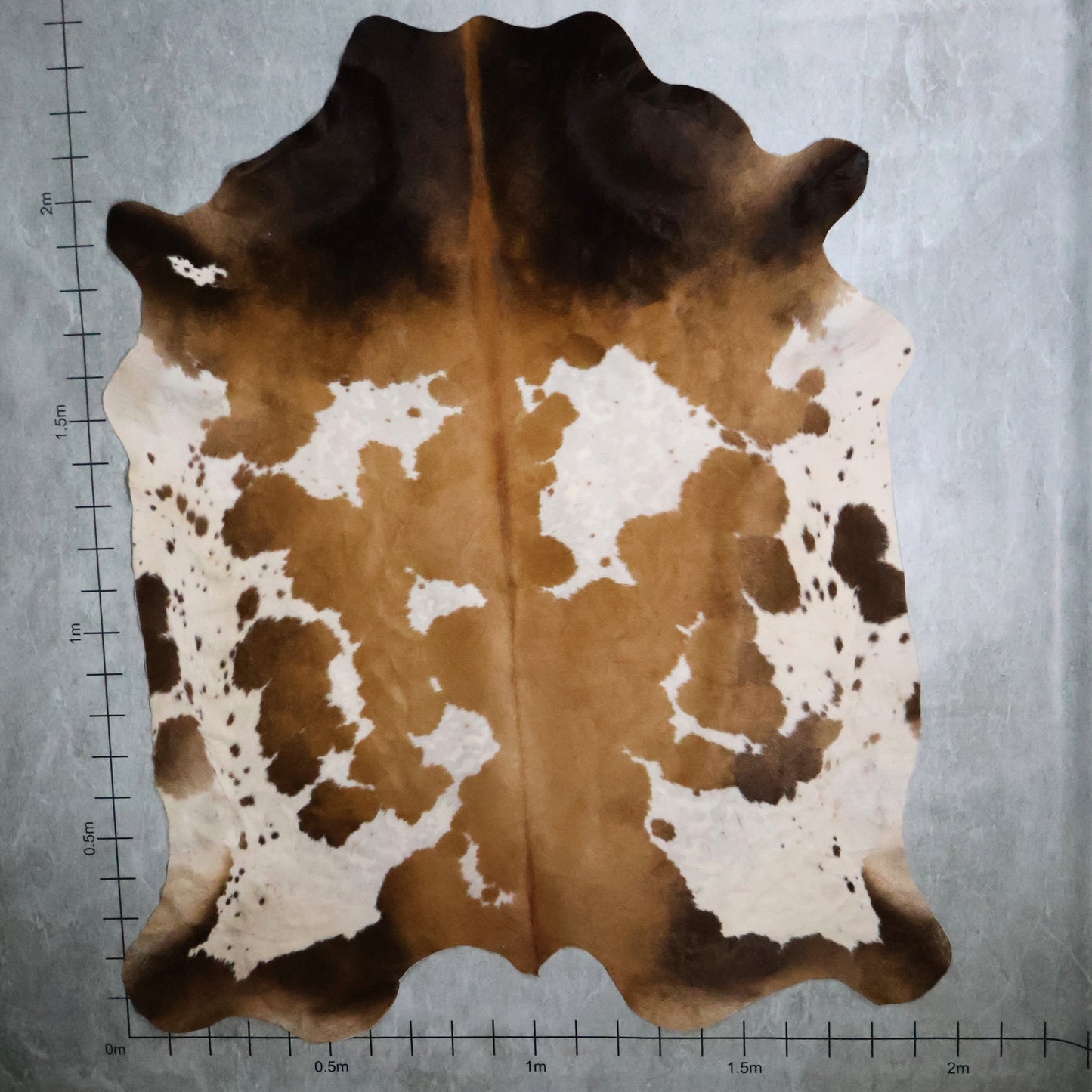 Select Nguni Hide Brindle #AGS7225 (2.0m X 2.3m)