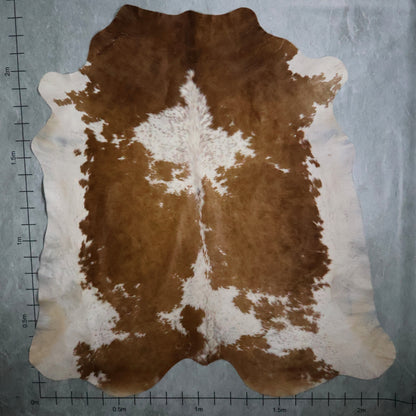 Select Nguni Hide #AGS7231 (2.2m X 2.3m)