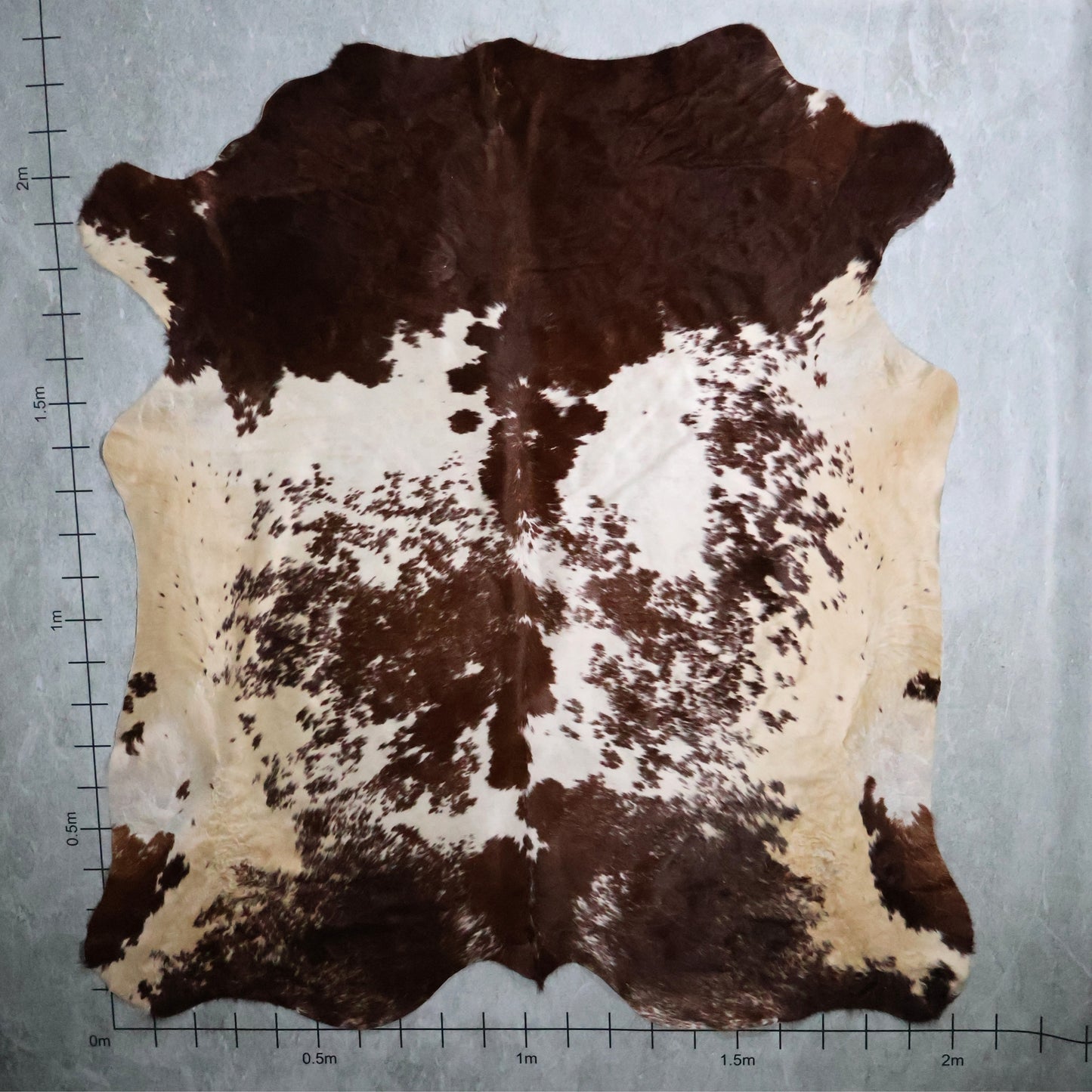 Select Nguni Hide #AGS7242 (2.0m X 2.3m)