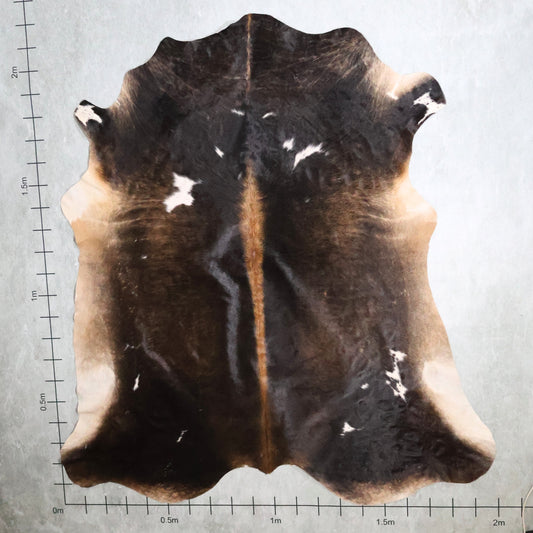 Select Nguni Hide #AGS7249 (2.0m X 2.2m)