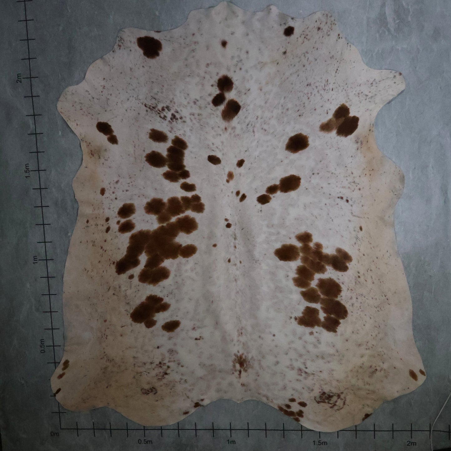 Select Nguni Hide #AGS7252 (2.1m X 2.3m)
