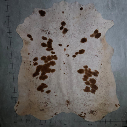 Select Nguni Hide #AGS7252 (2.1m X 2.3m)